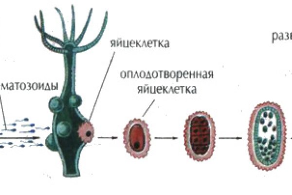 Ссылка омг омг в тор браузере